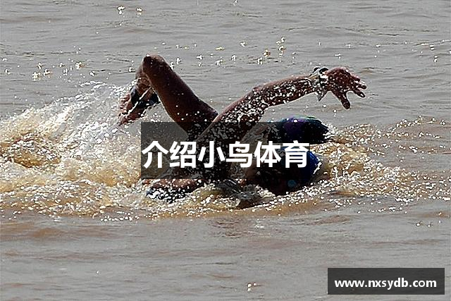 介绍小鸟体育